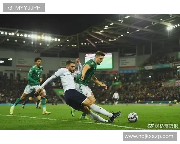 法国与爱尔兰激战正酣最终结果揭晓引发热议