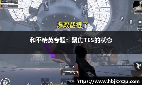 和平精英专题：聚焦TES的状态