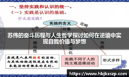 77体育app下载官网