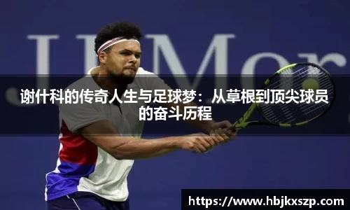 77体育app下载官网