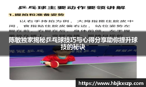 陈敏独家揭秘乒乓球技巧与心得分享助你提升球技的秘诀